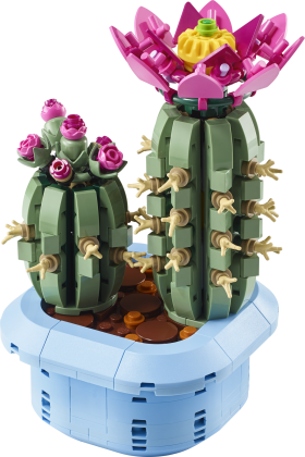 Bloeiende cactus