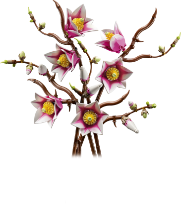 Magnoliatakken