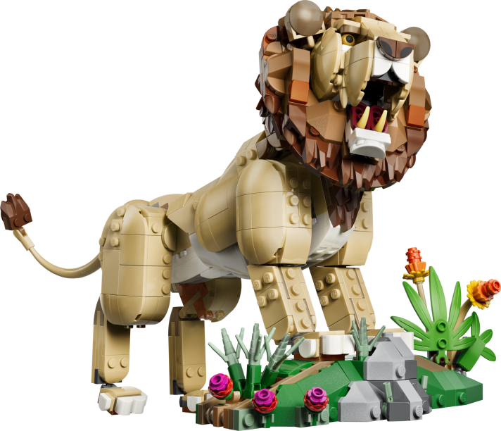 Wilde dieren: majestueuze leeuw