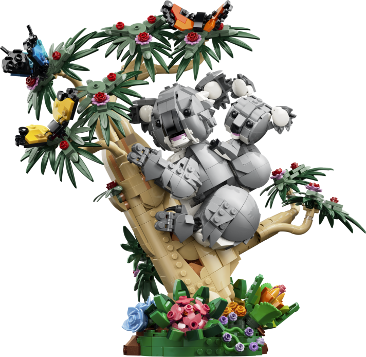 Wilde dieren: koalafamilie