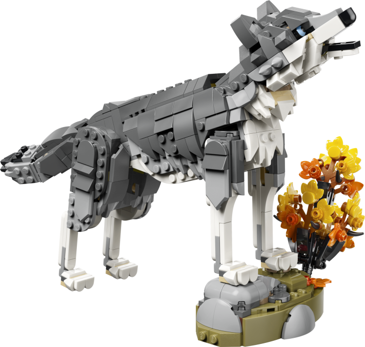Bosdieren: grijze wolf