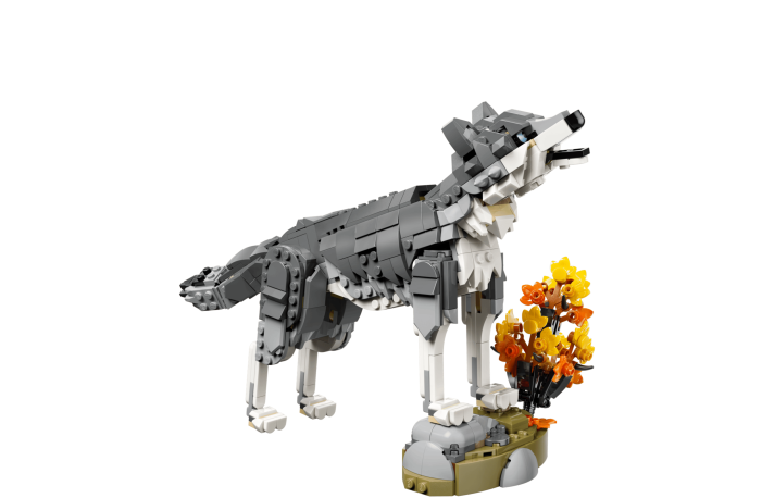 Bosdieren: grijze wolf
