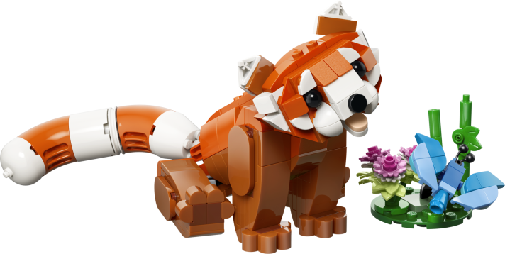 Schattige dieren: rode panda