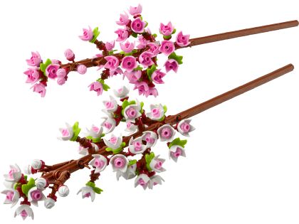Kersenbloesems